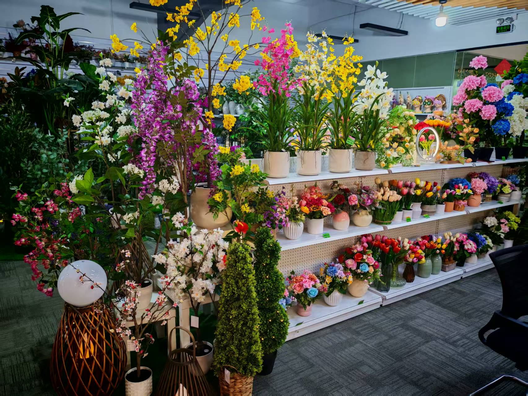 OMG Company Presents: Botanicals & Flora for Spring & Summer 2025!